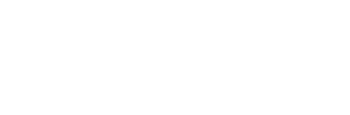 Logo msg DAVID negativ 500x165px